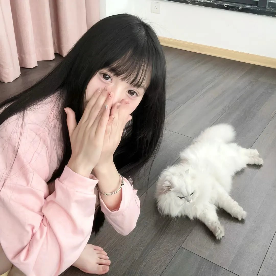 大明天子